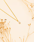Grain Of Rice